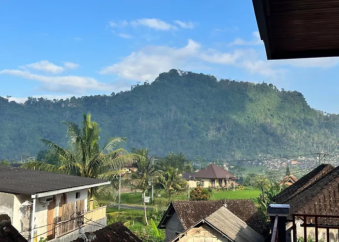 Merta House Homestay *